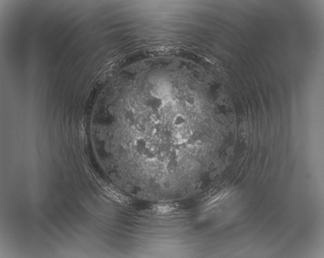 X0000056370662200509091650