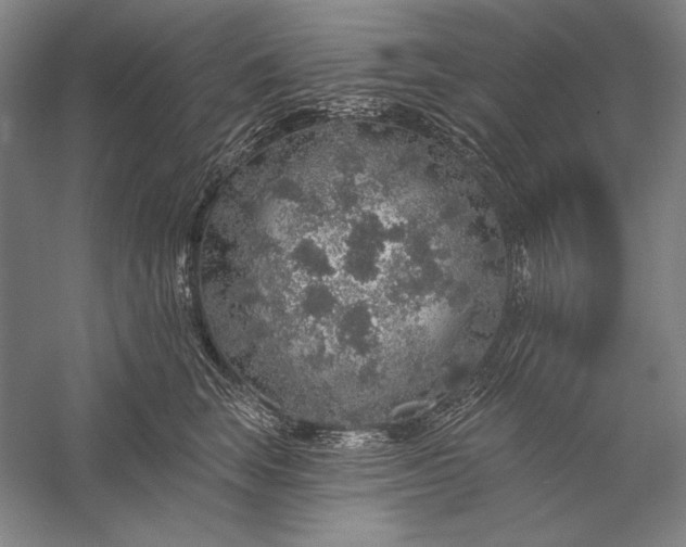 X0000056370663200509091650