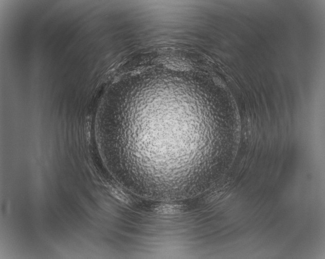 X0000056370664200509091650