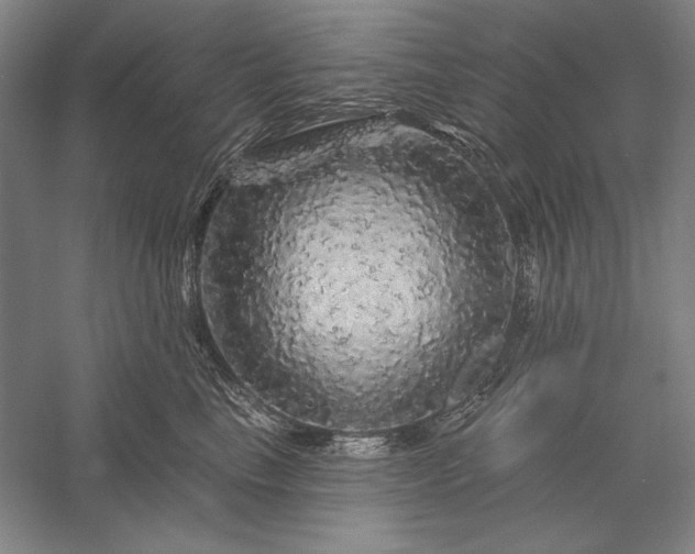 X0000056370665200509091650