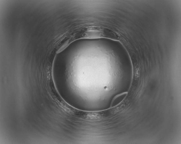 X0000056370666200509091650