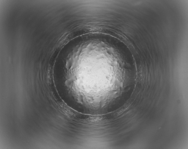 X0000056370667200509091650