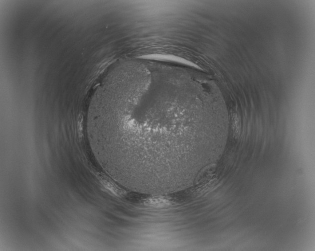 X0000056370668200509091650