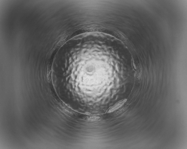 X0000056370669200509091650