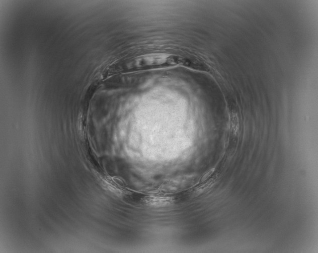 X0000056370670200509091650