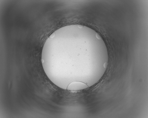 X0000056370672200509091650