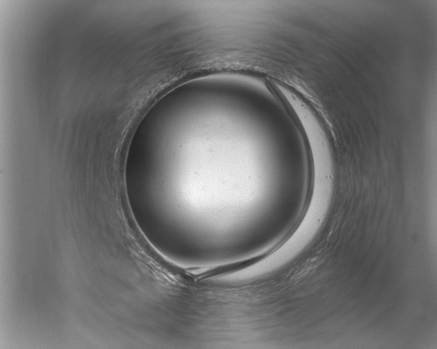 X0000056370673200509091649