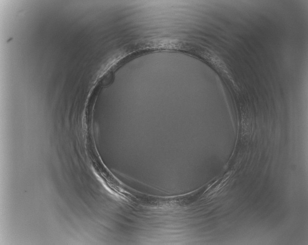 X0000056370674200509091649