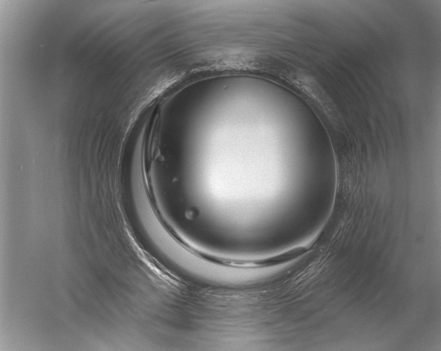 X0000056370677200509091649