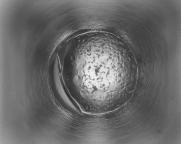 X0000056370679200509091649