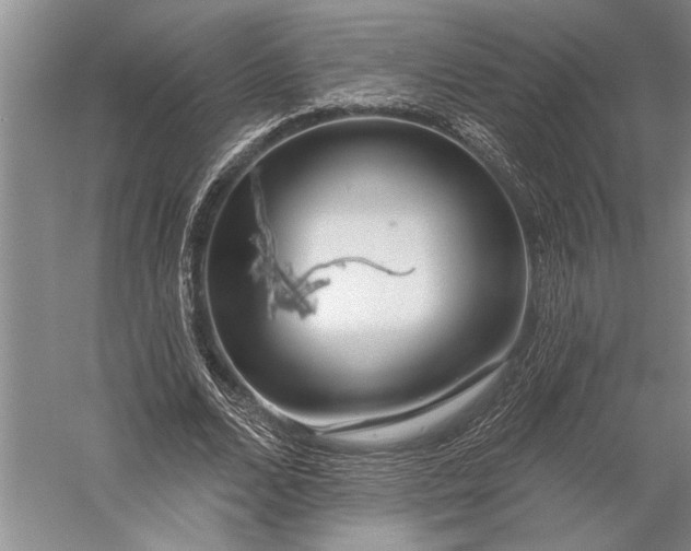 X0000056370680200509091649