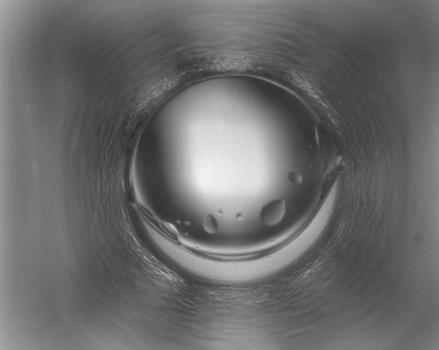 X0000056370681200509091649