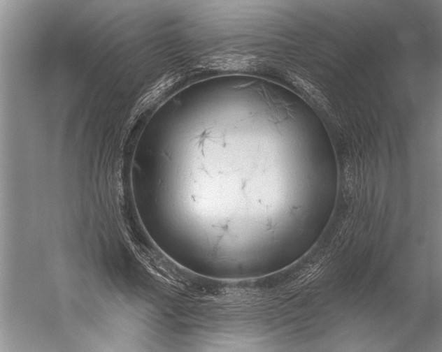 X0000056370682200509091649