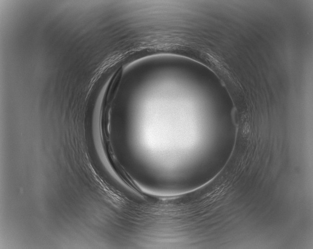 X0000056370685200509091649