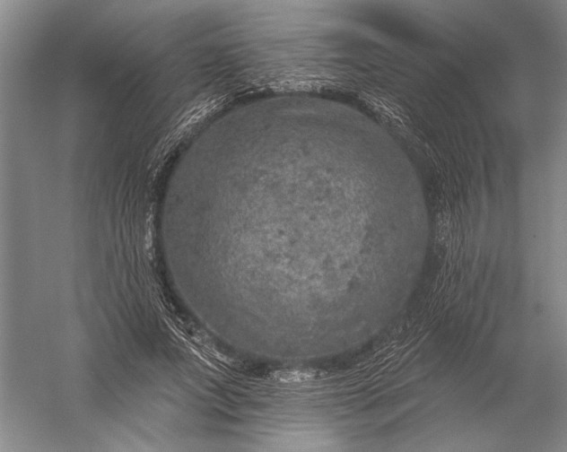 X0000056370687200509091649