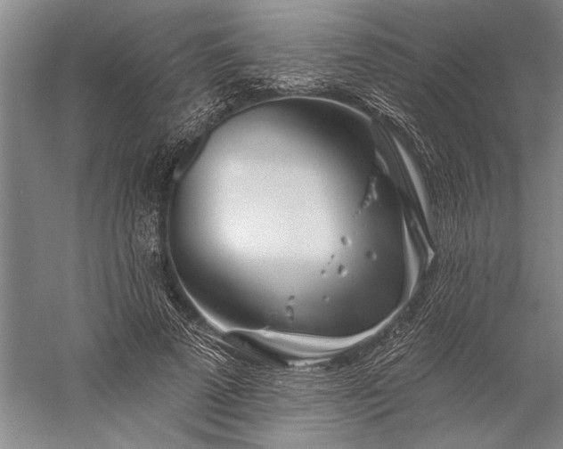 X0000056370689200509091649