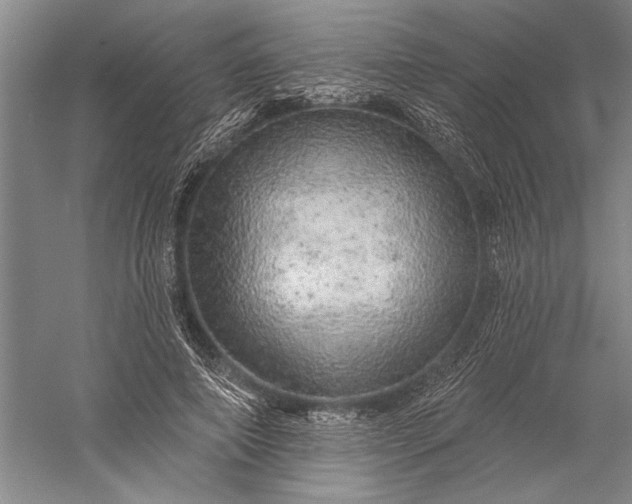 X0000056370690200509091649