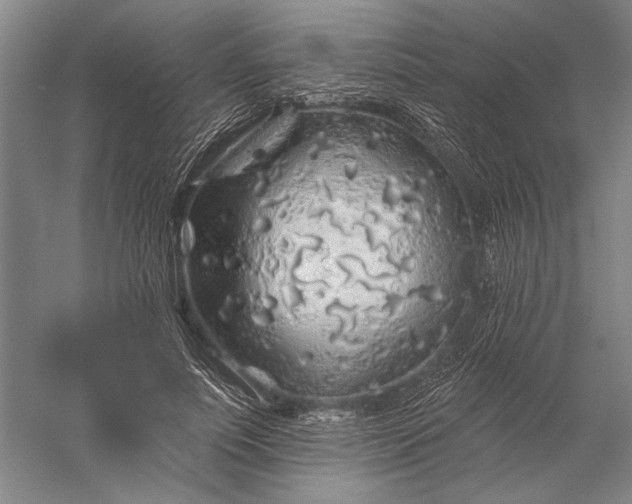 X0000056370691200509091649