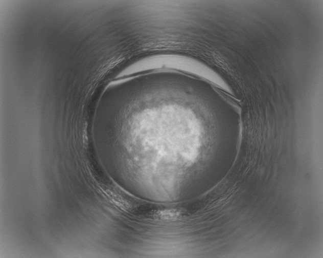 X0000056370692200509091649