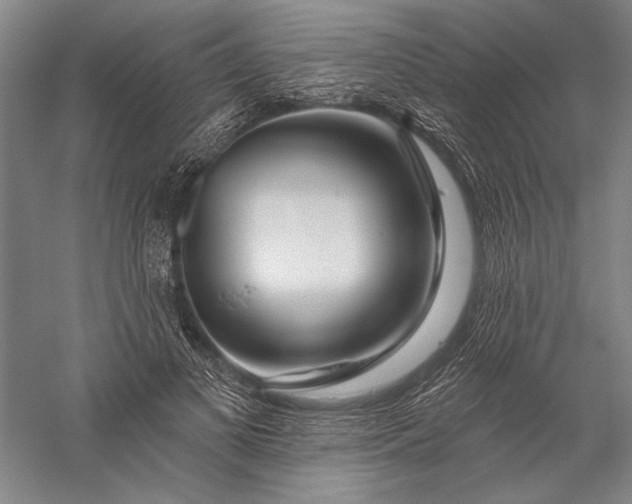 X0000056370693200509091649