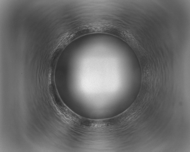 X0000056370694200509091649