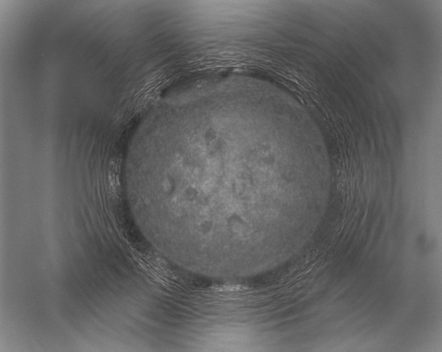 X0000056370695200509091649