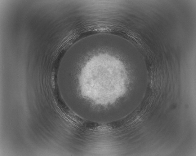 X0000056370696200509091649