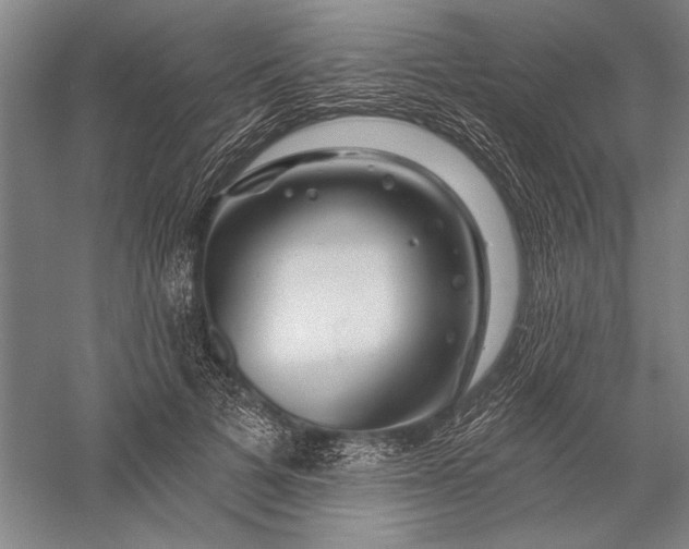 X0000056370697200509091649