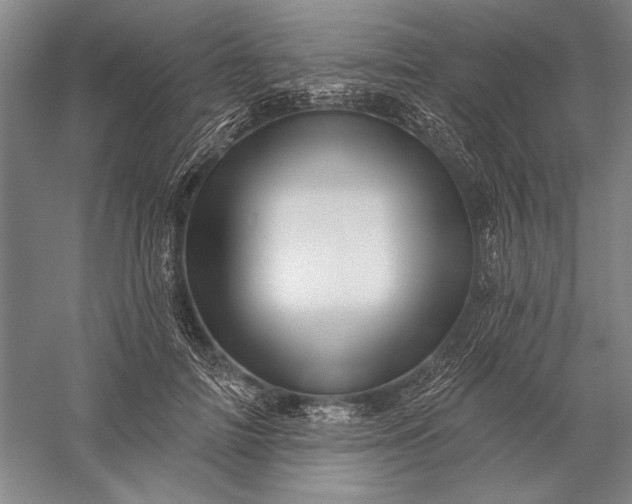 X0000056370698200509091649