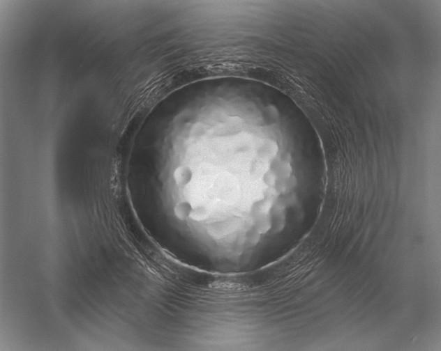 X0000056370699200509091649