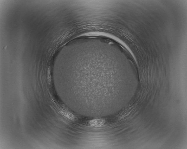 X0000056370700200509091649