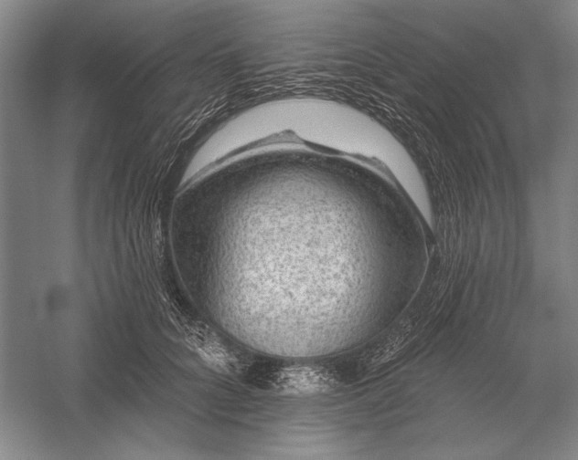 X0000056370704200509091649