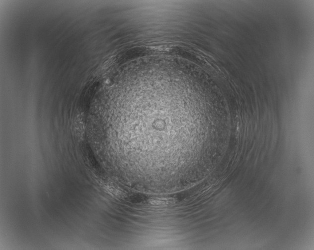 X0000056370707200509091649