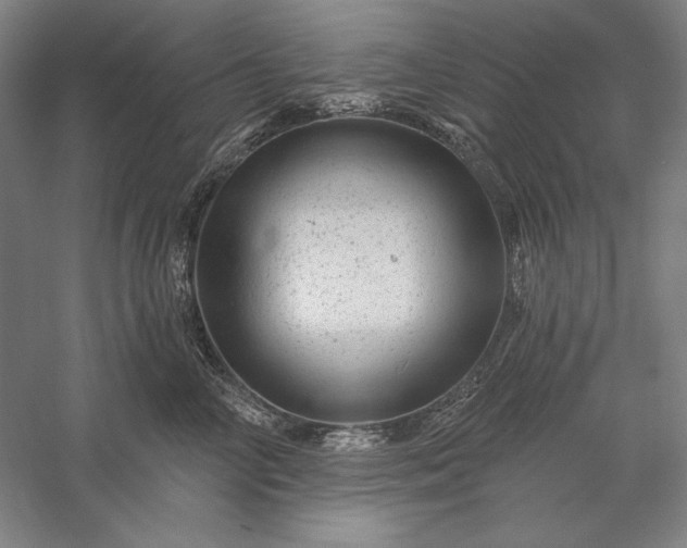 X0000056370714200509091649