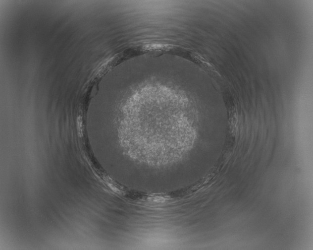 X0000056370716200509091649