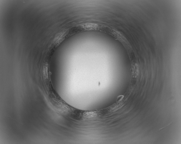 X0000056370717200509091649