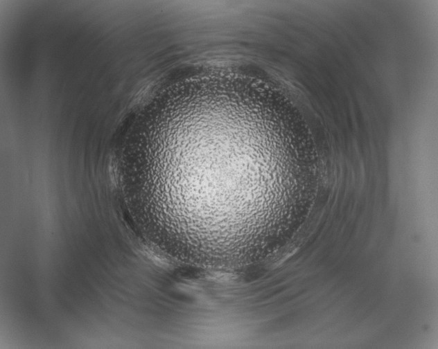 X0000056370718200509091649