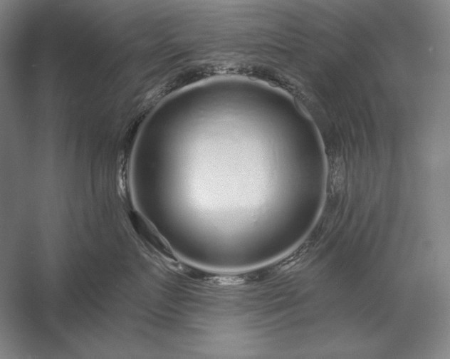 X0000056370719200509091649