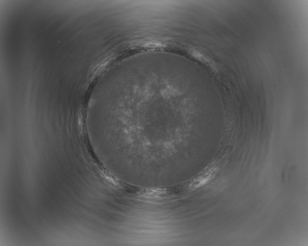 X0000056370720200509091649