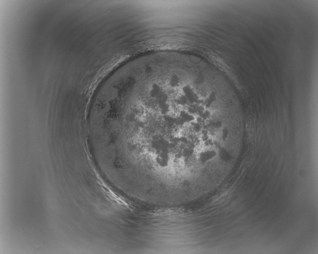 X0000056370721200509091648