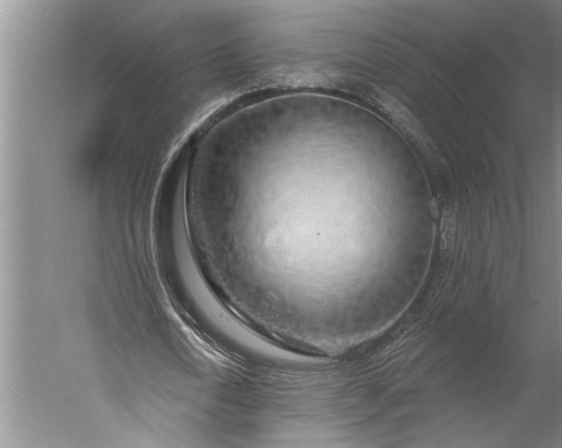 X0000056370722200509091648