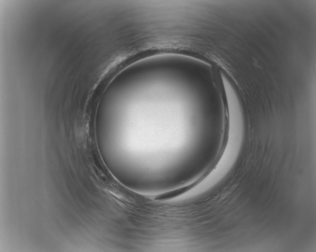 X0000056370723200509091648