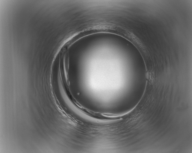 X0000056370724200509091648