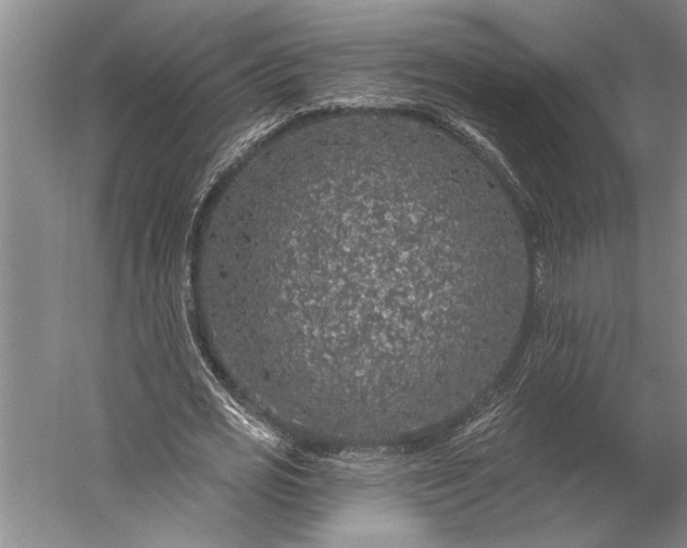 X0000056370725200509091648