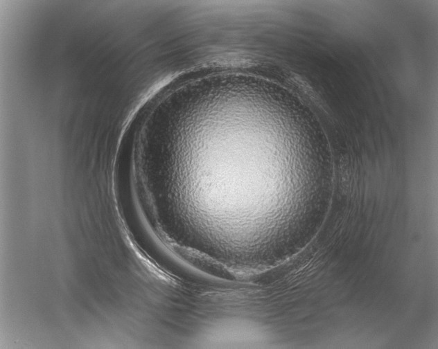 X0000056370726200509091648