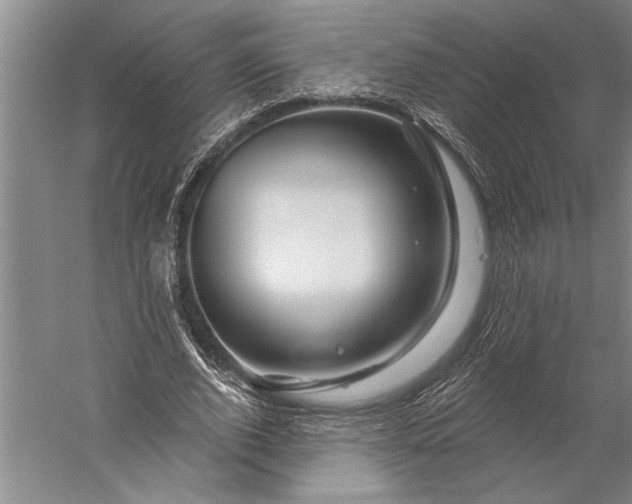 X0000056370728200509091648