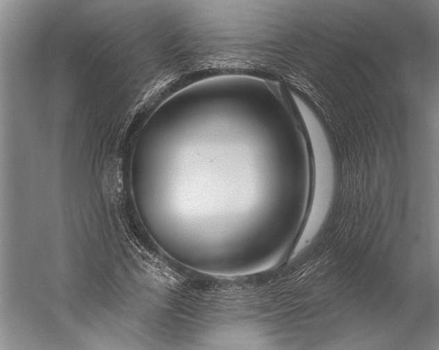 X0000056370731200509091648