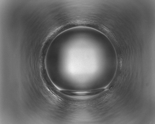 X0000056370732200509091648