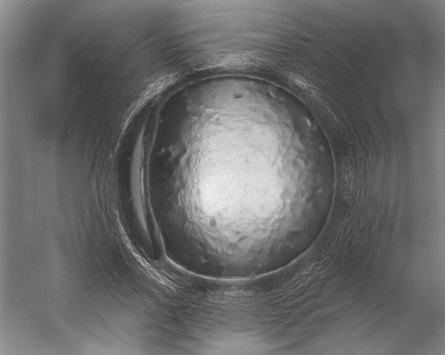 X0000056370734200509091648