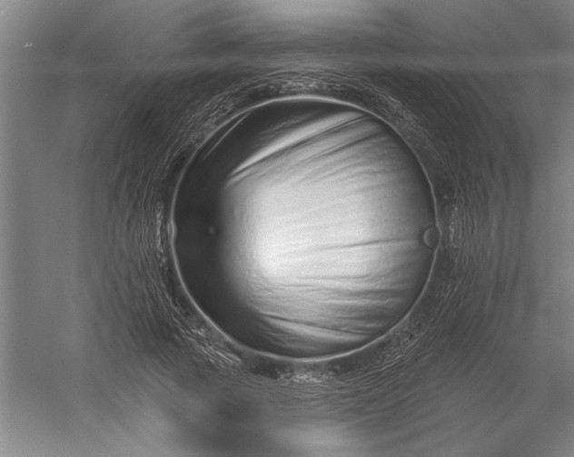 X0000056370737200509091648